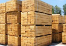 首批木制品检验师即将培训职业资格